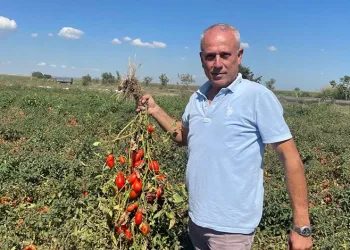 Bursaspor, Aliağa FK maçına hazır