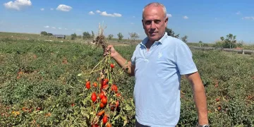 Bursaspor, Aliağa FK maçına hazır