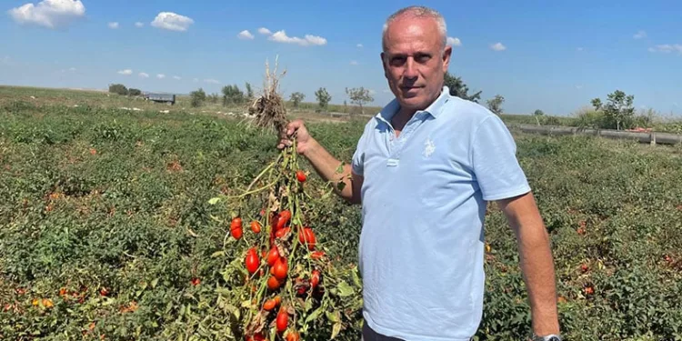 Bursaspor, Aliağa FK maçına hazır