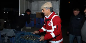Kumsaz’da Ulaşım Kalitesi Gemlik Belediyesi ile Artıyor