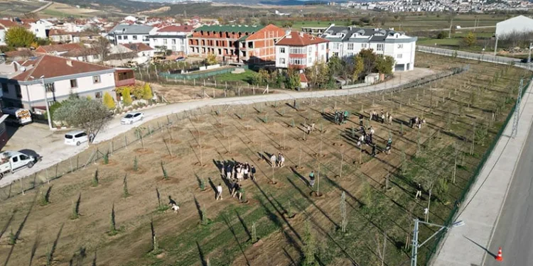 Tarihi aksın kazanan projeleri belli oldu