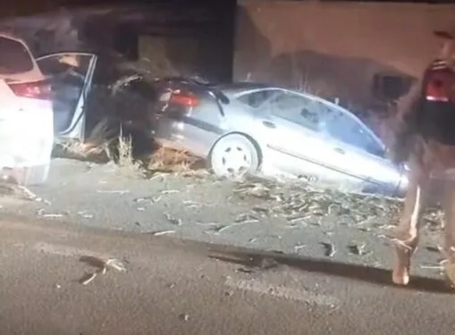 Şelaleleri gezmeye giden muhtar 30 metre yükseklikten düşerek yaralandı