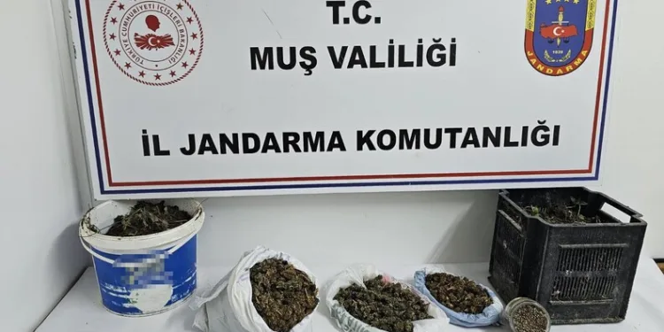 Manisa’da uyuşturucu operasyonu