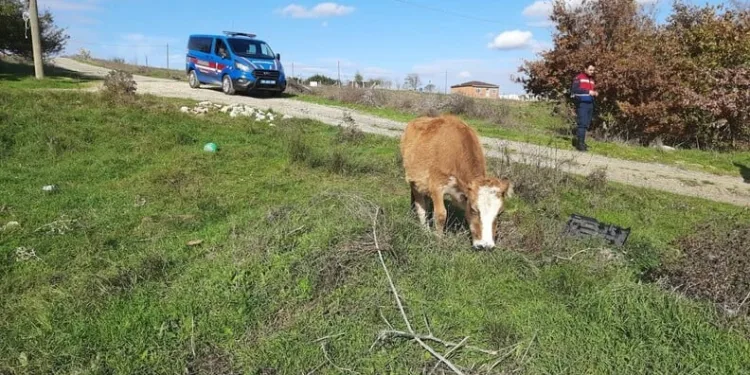 18 kişinin yaralandığı kaza güvenlik kamerasında