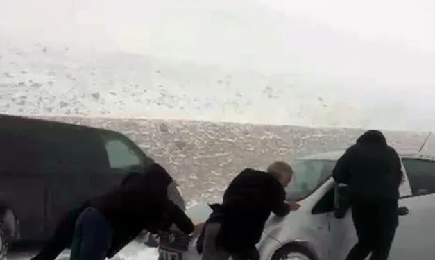 Erzincan’da kayalıklarda mahsur kalan 11 keçi 3 saatlik operasyonla kurtarıldı