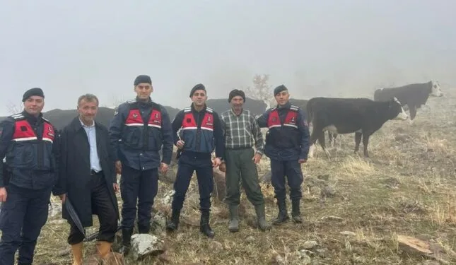 Erzincan’da kayalıklarda mahsur kalan 11 keçi 3 saatlik operasyonla kurtarıldı