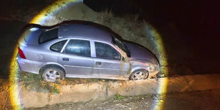 Erzincan’da kayalıklarda mahsur kalan 11 keçi 3 saatlik operasyonla kurtarıldı