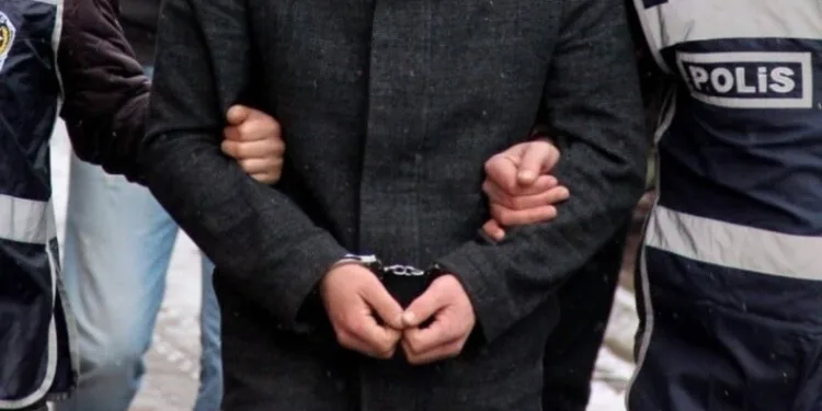 Erzincan’da kayalıklarda mahsur kalan 11 keçi 3 saatlik operasyonla kurtarıldı