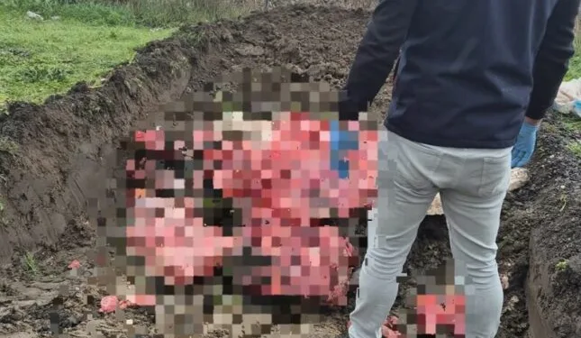 Bilecik’te benzinle mangal yakma girişimi bağ evini küle çevirdi