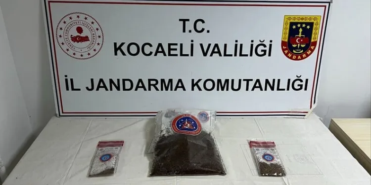 Şanlıurfa’da elektrik akımına kapılan kadın öldü
