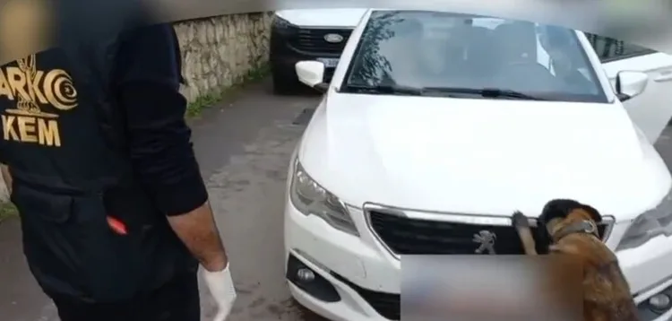 92 kilo bonzai hammaddesi taşıyan 2 şüpheli gözaltına alındı