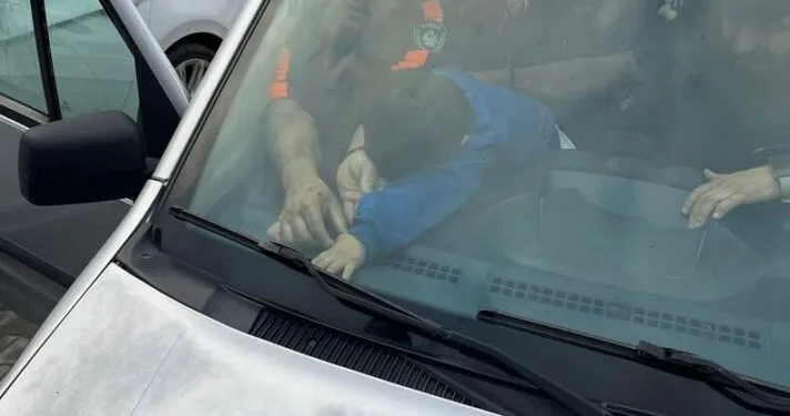 92 kilo bonzai hammaddesi taşıyan 2 şüpheli gözaltına alındı