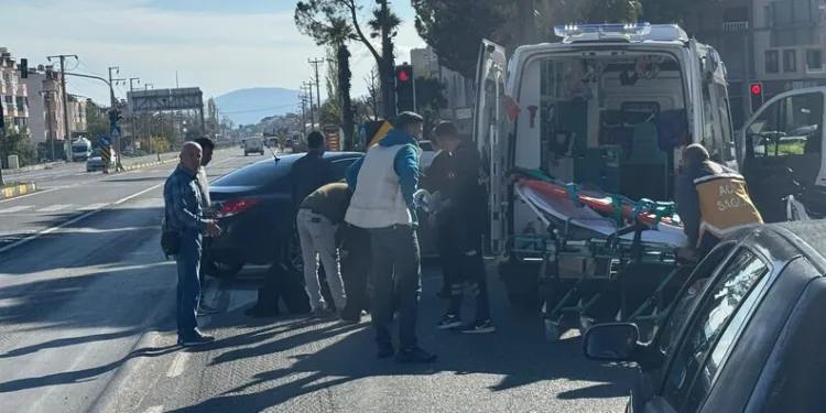 92 kilo bonzai hammaddesi taşıyan 2 şüpheli gözaltına alındı