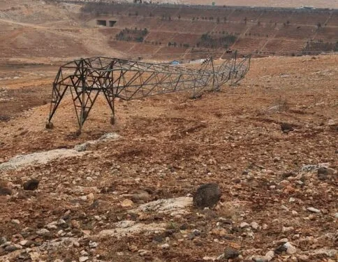 92 kilo bonzai hammaddesi taşıyan 2 şüpheli gözaltına alındı