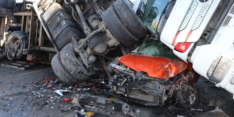 92 kilo bonzai hammaddesi taşıyan 2 şüpheli gözaltına alındı