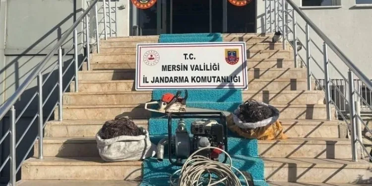 Taşova’da millet bahçesinde mescit duvarı tahrip edildi