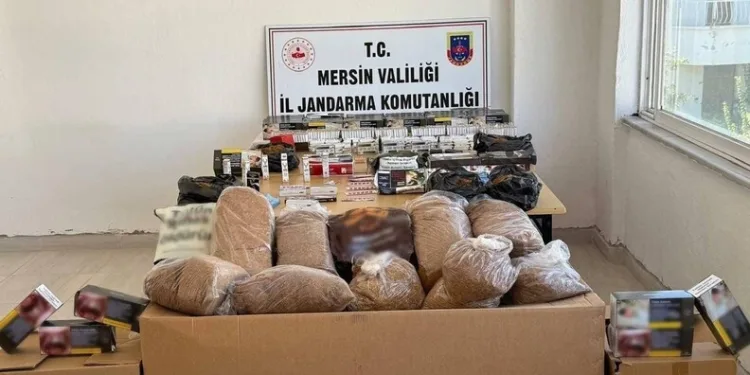 Taşova’da millet bahçesinde mescit duvarı tahrip edildi