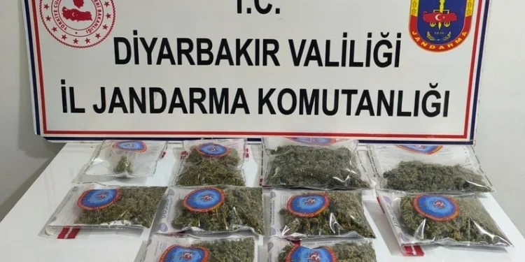 Taşova’da millet bahçesinde mescit duvarı tahrip edildi