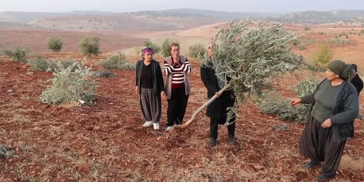 Arnavutköy’de film sahnelerini aratmayan gasp: Kaçan şüpheli “Ayağına sıkarım” diye tehdit etti