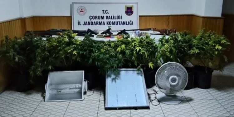 Esenyurt’ta birlikte yaşadığı kadını kafasından vurarak öldüren zanlı hakim karşısına çıktı