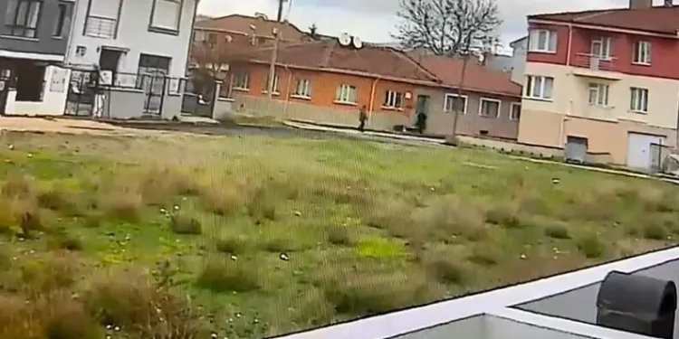 Esenyurt’ta birlikte yaşadığı kadını kafasından vurarak öldüren zanlı hakim karşısına çıktı
