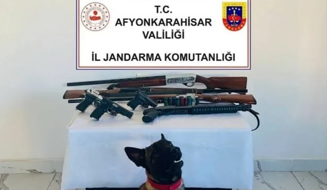 Erzincan’da yaban keçisini vuran 3 kişiye 975 bin TL ceza