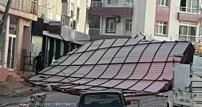 Erzincan’da yaban keçisini vuran 3 kişiye 975 bin TL ceza