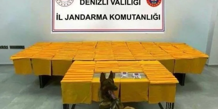 Erzincan’da yaban keçisini vuran 3 kişiye 975 bin TL ceza