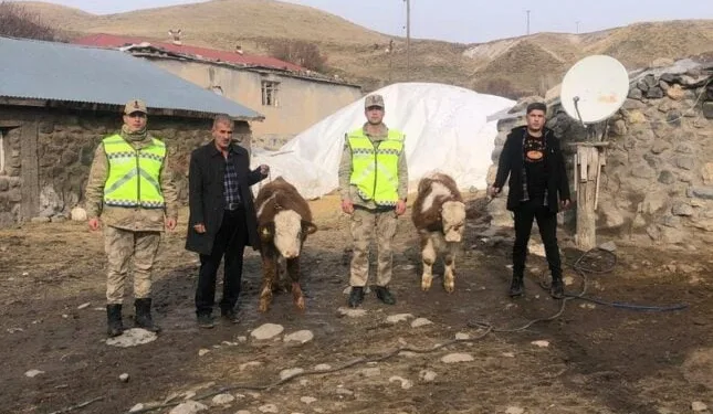 Erzincan’da yaban keçisini vuran 3 kişiye 975 bin TL ceza