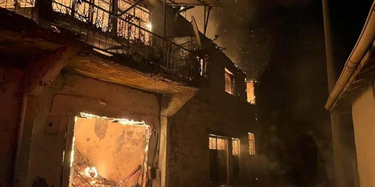 Erzincan’da yaban keçisini vuran 3 kişiye 975 bin TL ceza