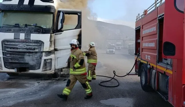 Erzincan’da yaban keçisini vuran 3 kişiye 975 bin TL ceza