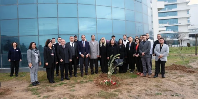 Mardin’de park halindeki araca çarpan otomobil sürücüsü yaralandı