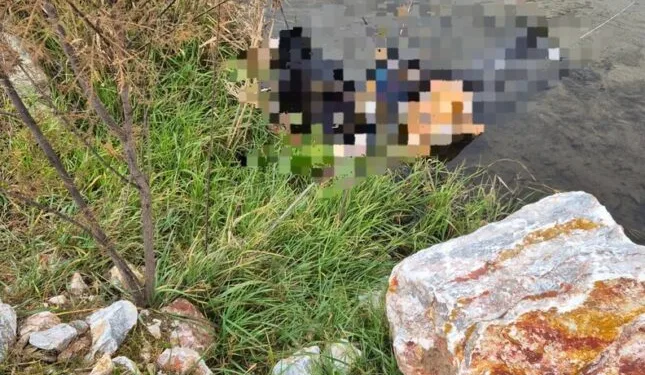 Mersin’de günübirlik ev ve eğlence mekânlarına denetim: 4 milyon 472 bin TL ceza kesildi