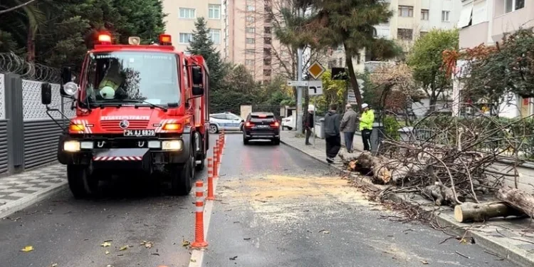 Mersin’de günübirlik ev ve eğlence mekânlarına denetim: 4 milyon 472 bin TL ceza kesildi