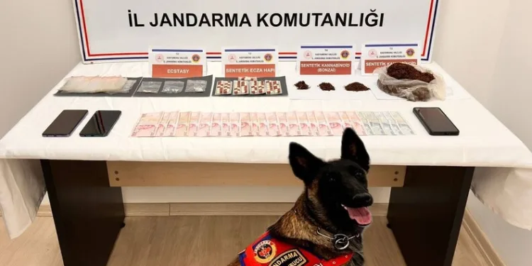 Mersin’de günübirlik ev ve eğlence mekânlarına denetim: 4 milyon 472 bin TL ceza kesildi