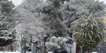 Başkale’de kış sert geçiyor, kar yığınları kamyonlarla ilçe dışına taşınıyor