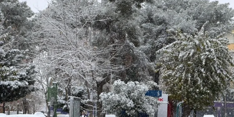 Başkale’de kış sert geçiyor, kar yığınları kamyonlarla ilçe dışına taşınıyor