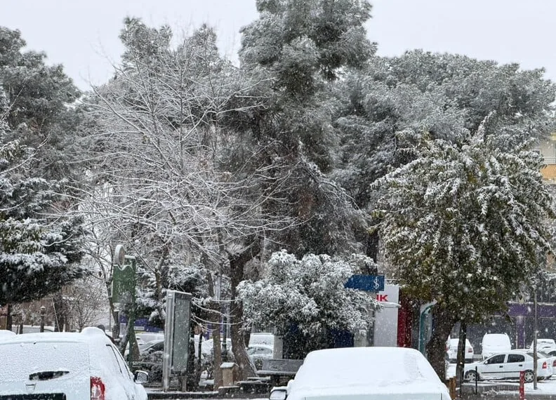 Başkale’de kış sert geçiyor, kar yığınları kamyonlarla ilçe dışına taşınıyor