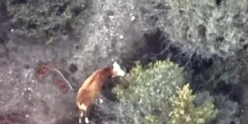 Sivas’ta zincirleme trafik kazası: 4 yaralı