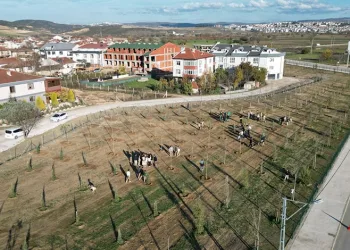 572 fidanlı koruluk Akhisar’a nefes olacak