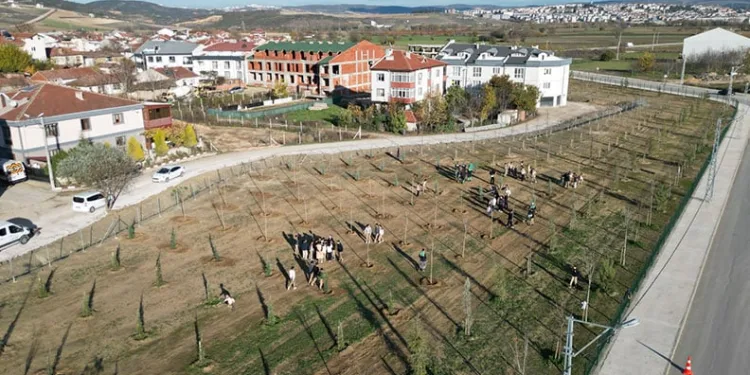 572 fidanlı koruluk Akhisar’a nefes olacak