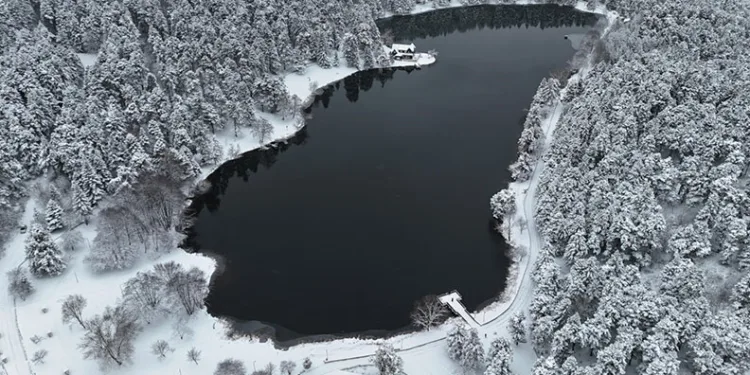 Bolu’nun incisi beyaza büründü