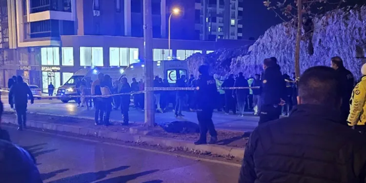 Otomobilin çarptığı anne hayatını kaybetti, kızı ağır yaralandı