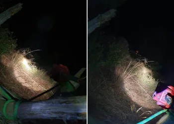 Bursa’da ormanlık alanda mahsur kalan bir kişi kurtarıldı