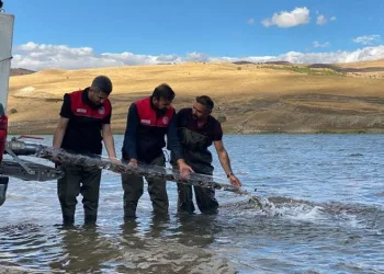 Türkiye nüfusu kadar balık deniz ve göllere bırakıldı