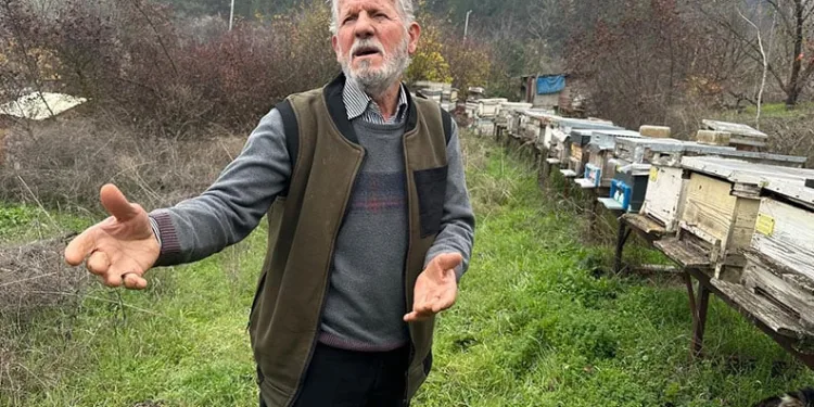Zirai ilaç yüzünden milyonlarca arısı öldü