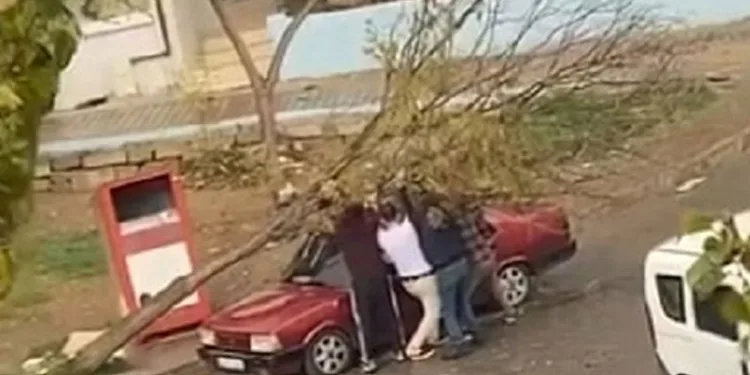 İzmir’de park halindeki otomobilin üzerine ağaç devrildi