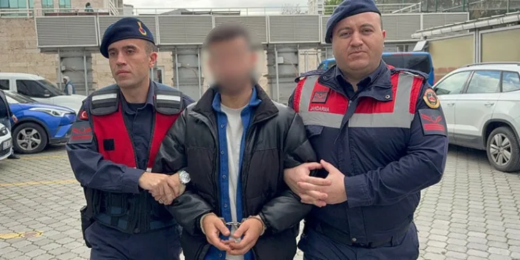 Jandarmadan uyuşturucu operasyonu: 1 gözaltı