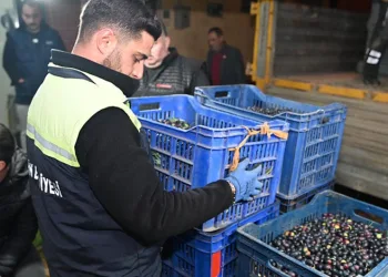 Zeytinciye belediyeden büyük destek