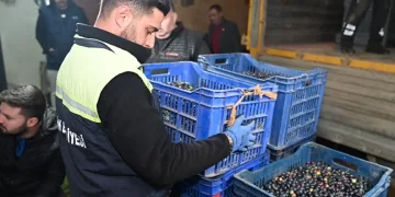 Zeytinciye belediyeden büyük destek